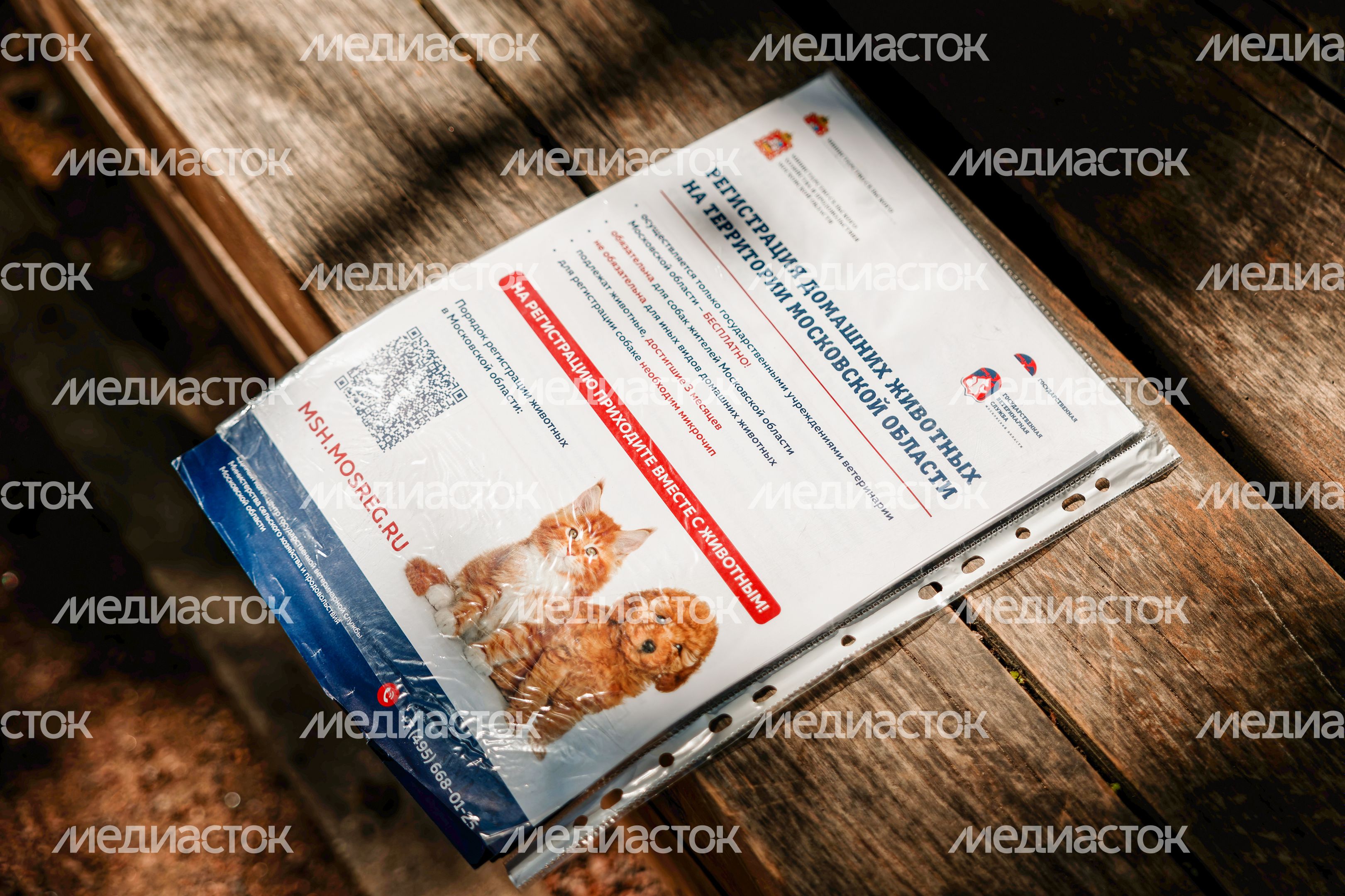 Вакцинация животных в парке «Липовая роща» в Красногорске Вакцинация животных в парке «Липовая роща» в Красногорске