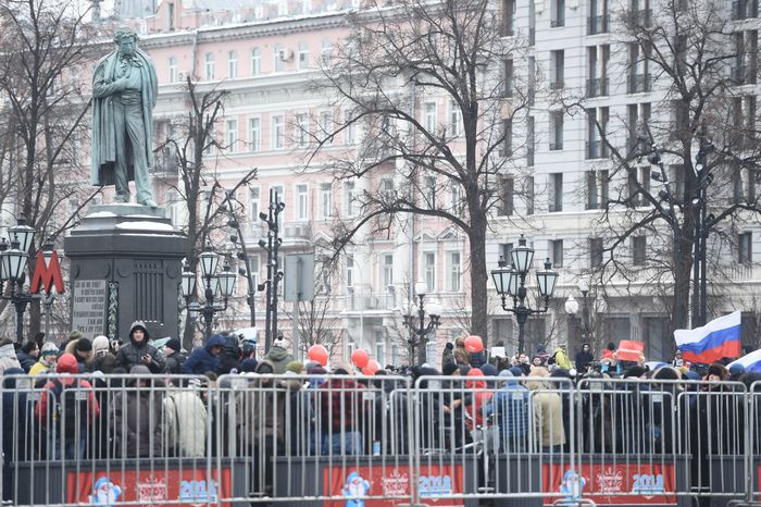 Несанкционированная акция в Москве, 28.01.2018