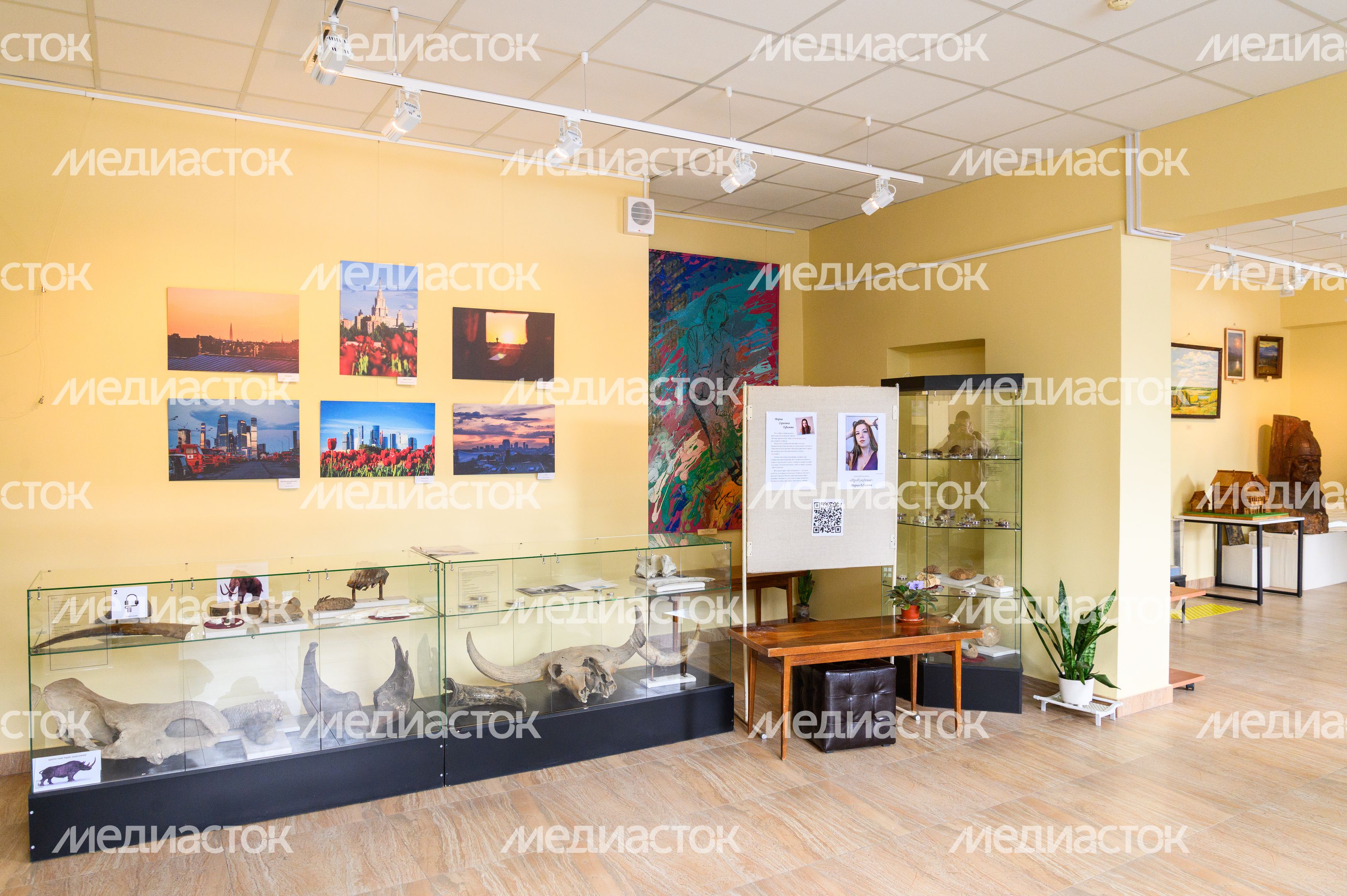 Пущинский музей экологии и краеведения