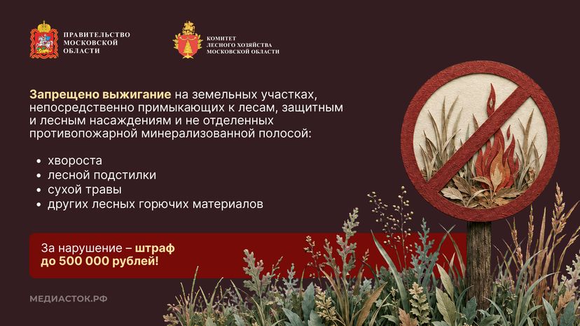 Живете рядом с лесом горизонталь 06