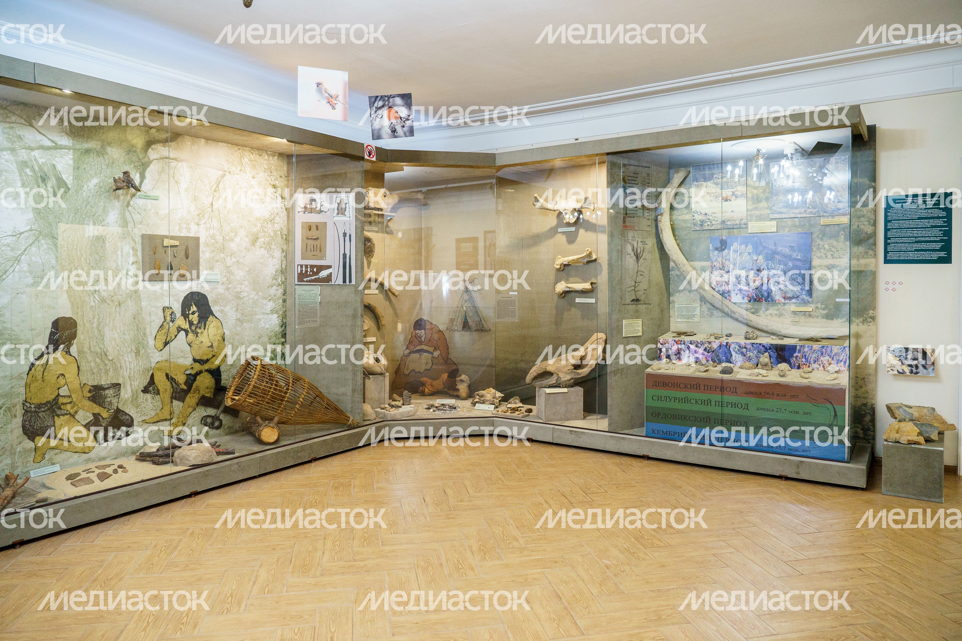 Коломенский краеведческий музей
