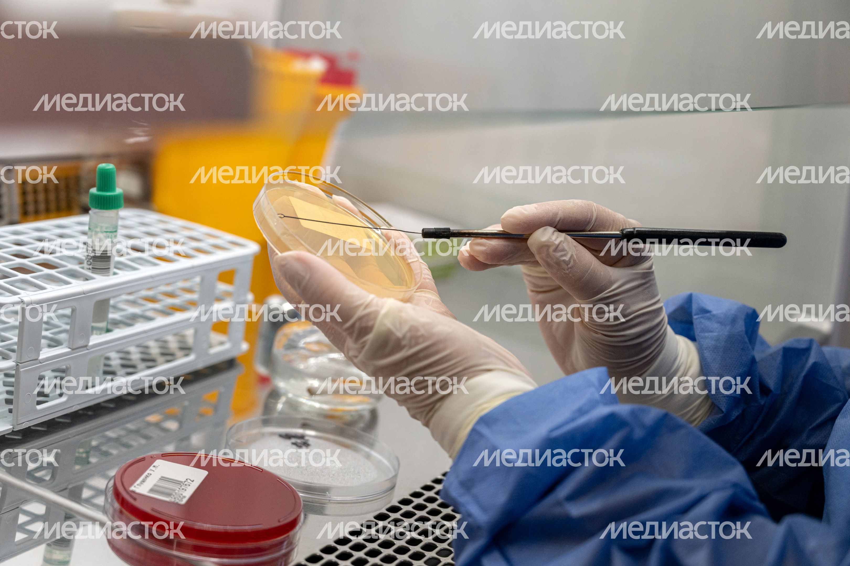 Клинико-диагностическая лаборатория в Детском клиническом центре им. Л. Рошаля в Красногорске Клинико-диагностическая лаборатория в Детском клиническом центре им. Л. Рошаля в Красногорске