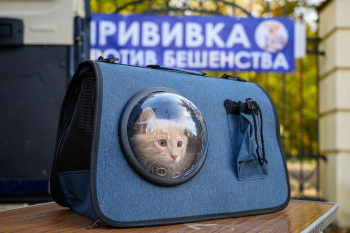 Выездная вакцинация животных в балашихинском парке "Пехорка"