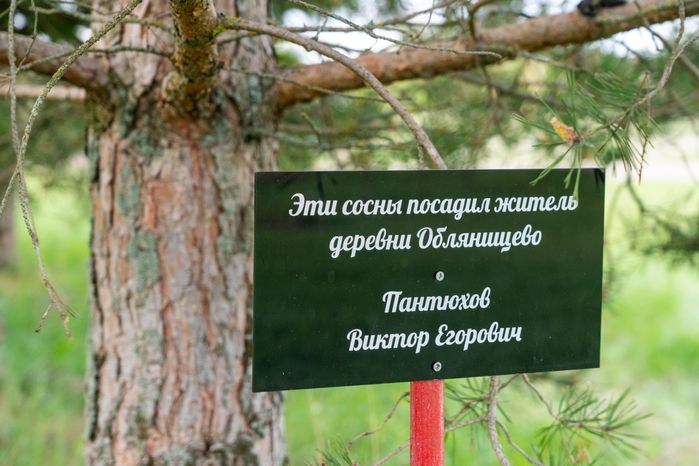 Братская могила в деревне Облянищево Можайского округа