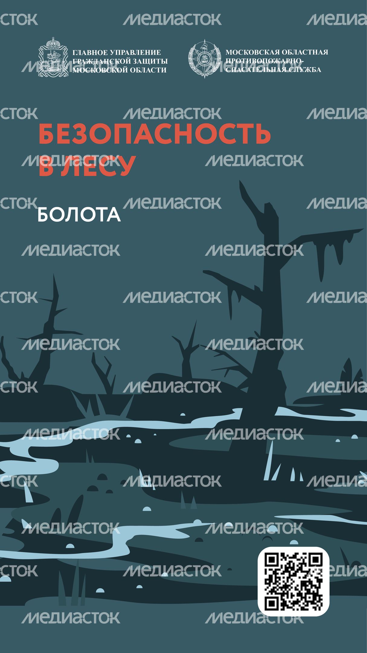 Болото-Вертикаль-01.jpg