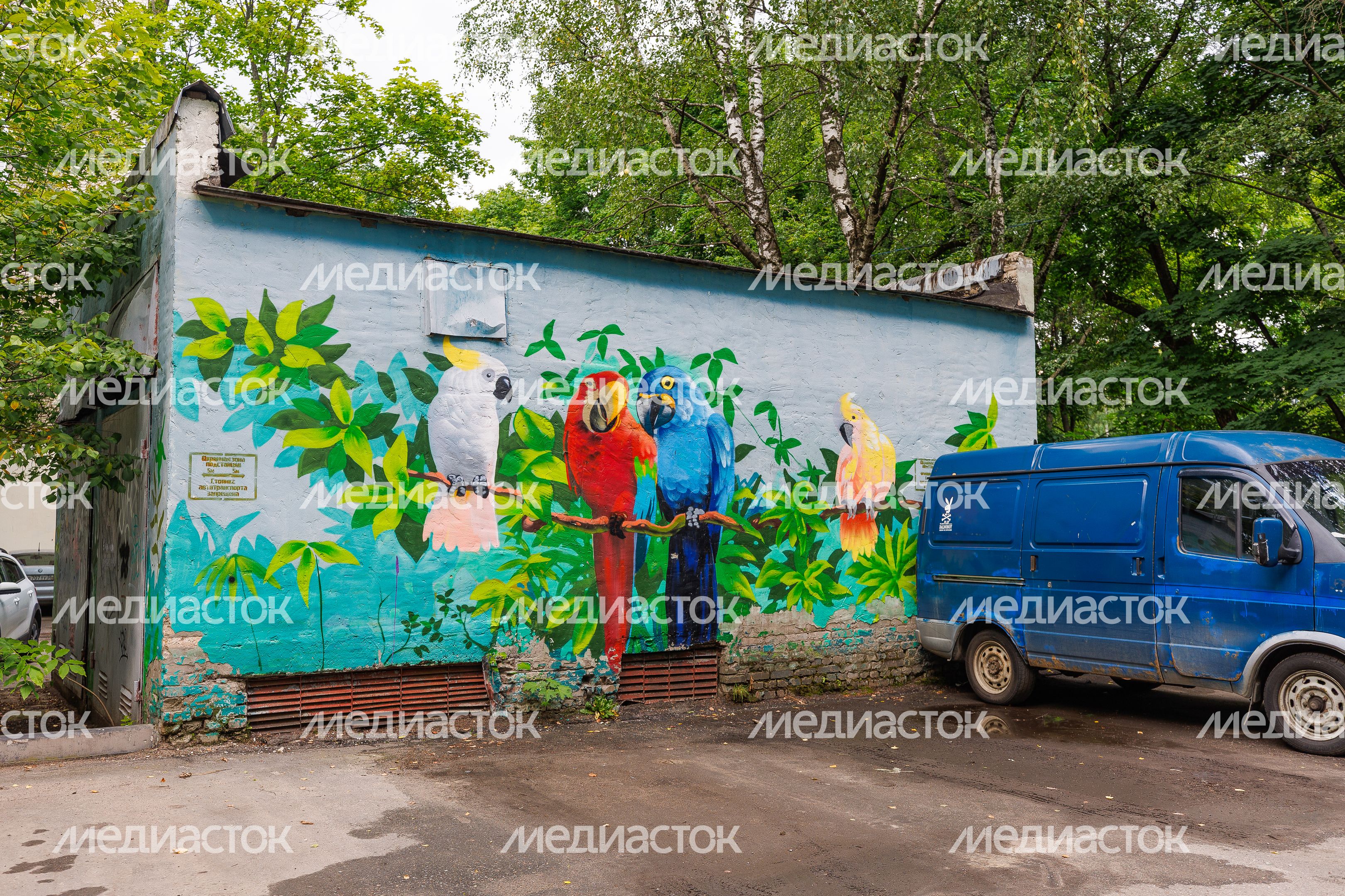 Муралы в Железнодорожном, Балашиха