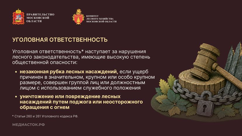 Самовольный захват и использование лесных участков горизонталь 06