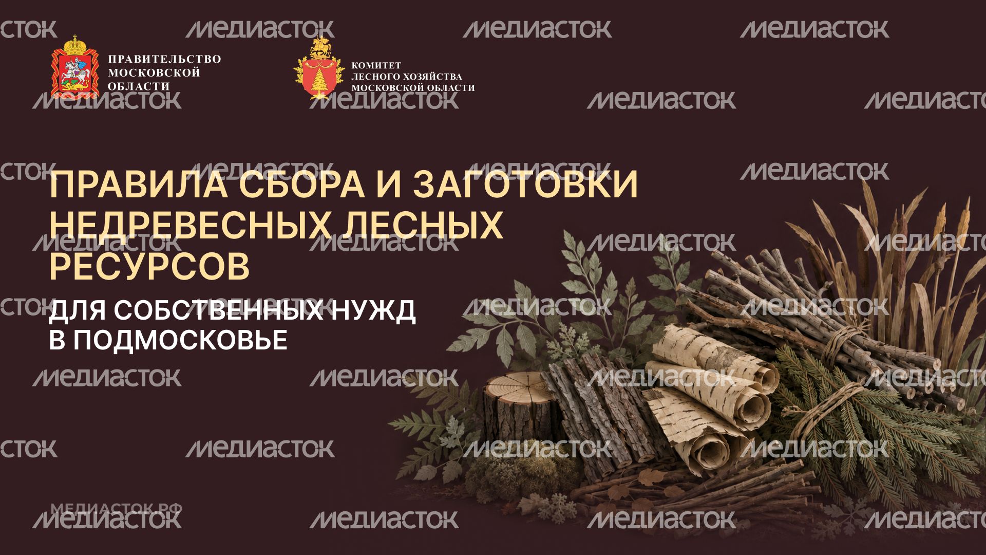 Недревесные ресурсы для собственных нужд Горизонталь 01