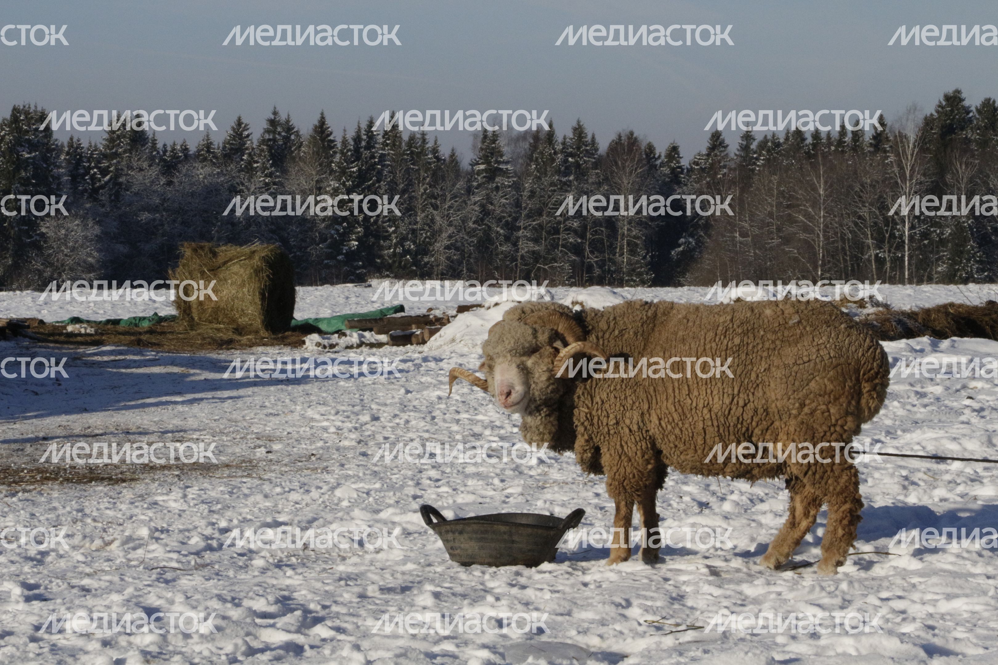 Этнопарк «Кочевник» в Сергиево-Посадском районе Этнопарк «Кочевник» в Сергиево-Посадском районе