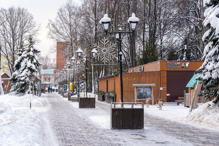 Зима в парке «Фабричный» в Дедовске округа Истра