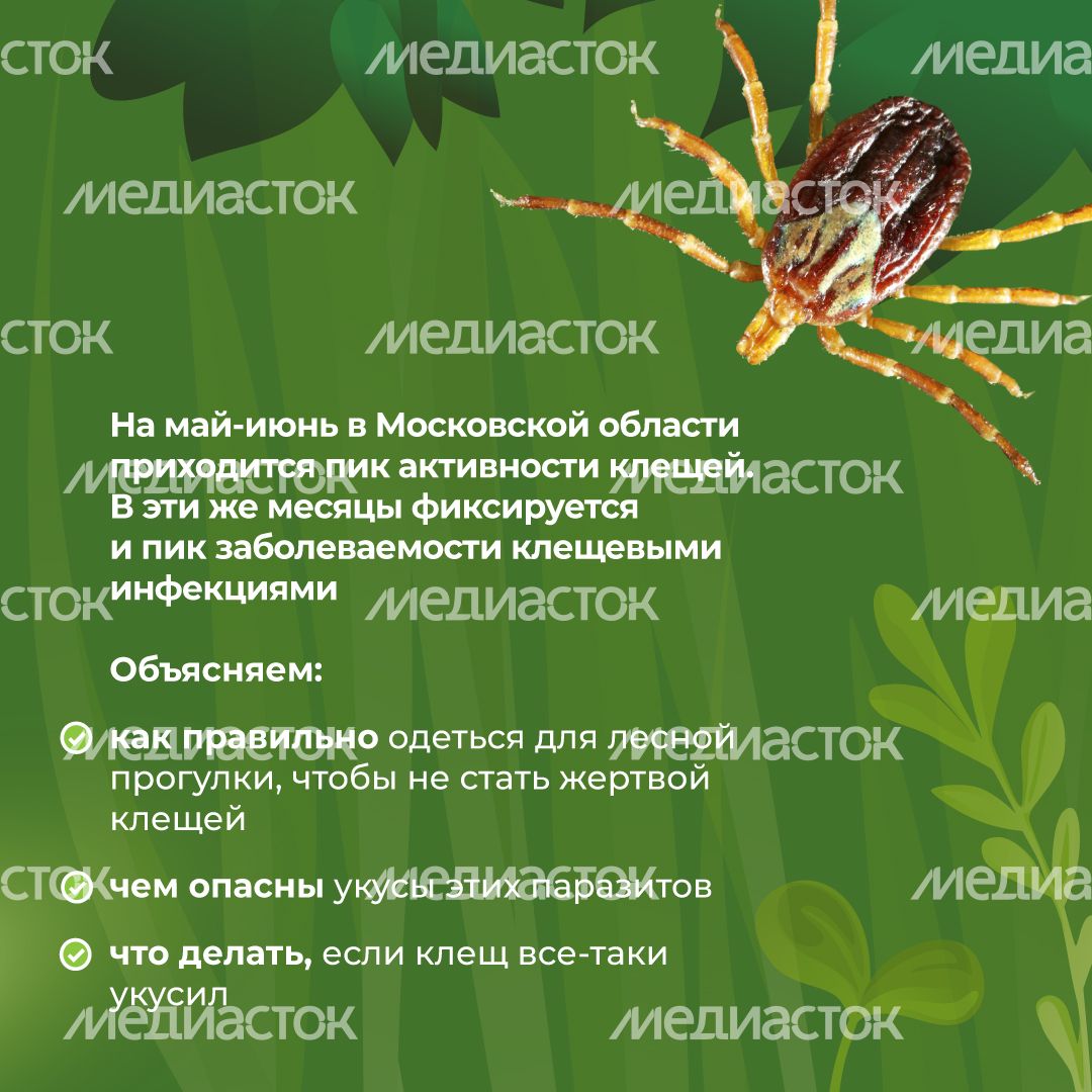 комлесхоз_клещи_кв_2