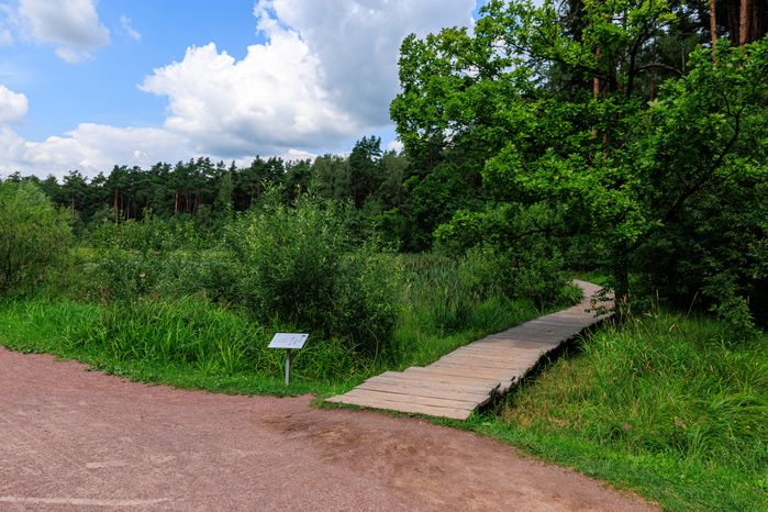 Мещерский парк в Одинцово летом
