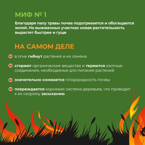 комлесхоз_пал_кв_2.jpg