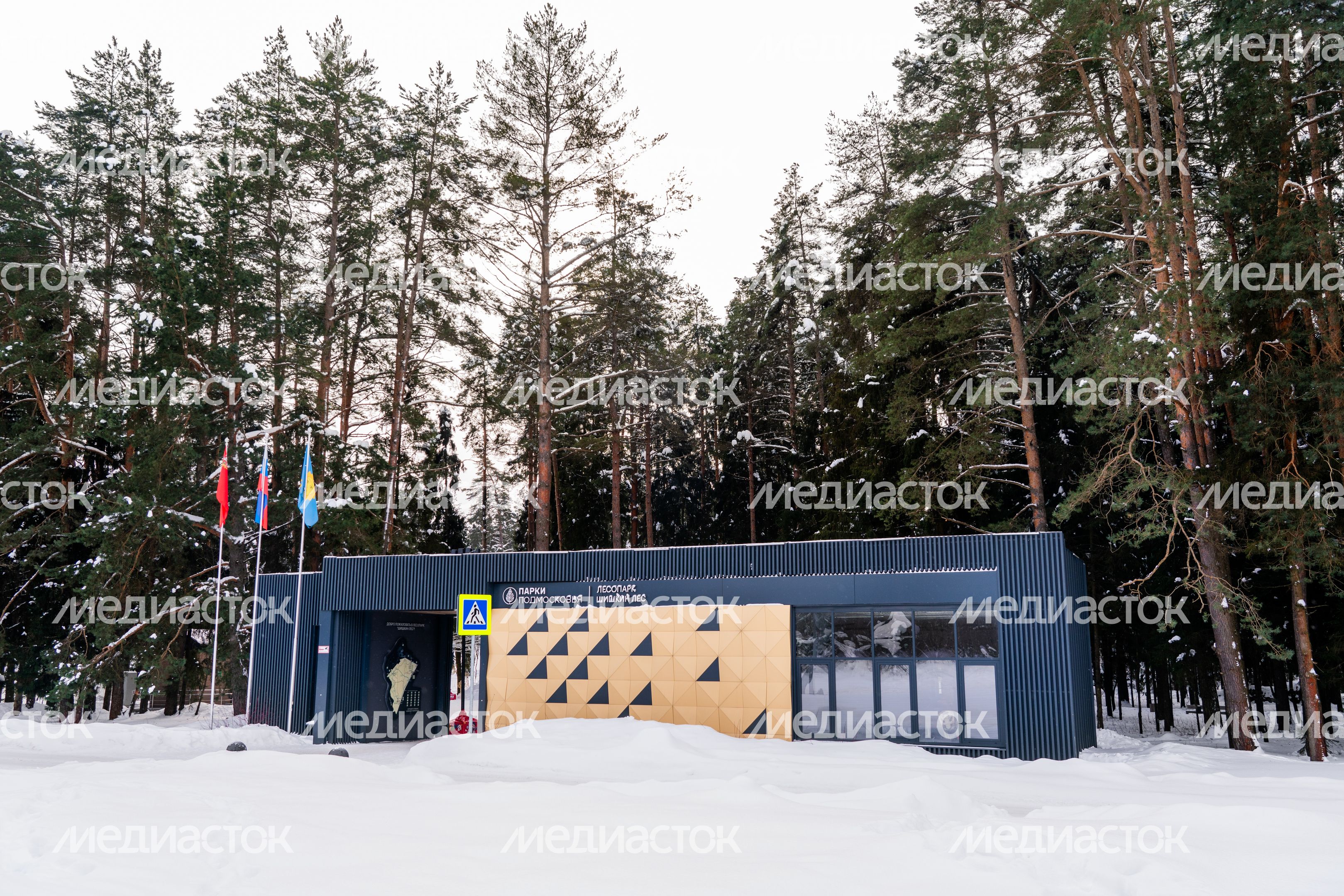 Парк "Шишкин лес" в Истре. Зима Парк "Шишкин лес" в Истре. Зима