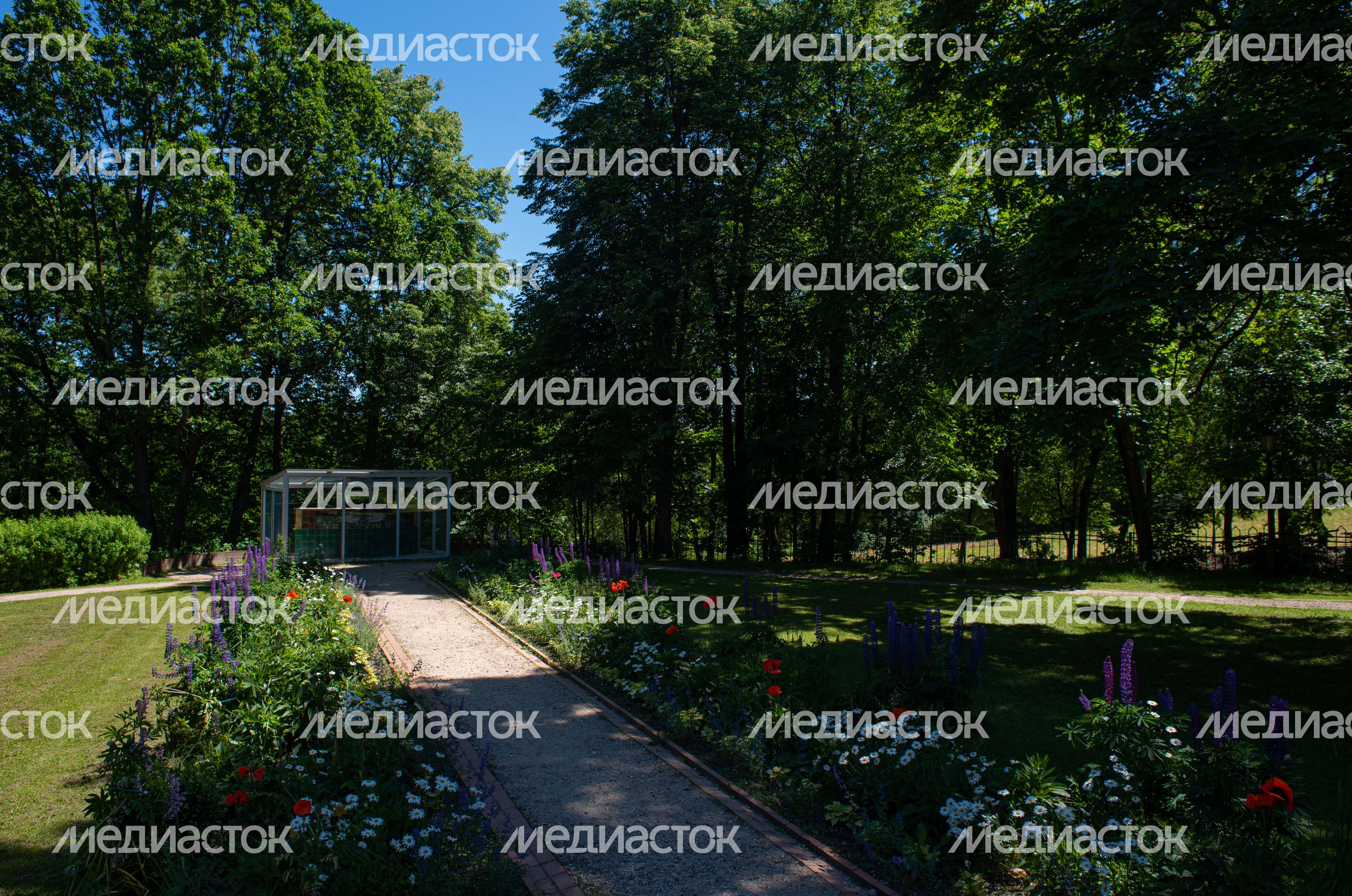 Летние виды Музея-заповедника «Абрамцево»