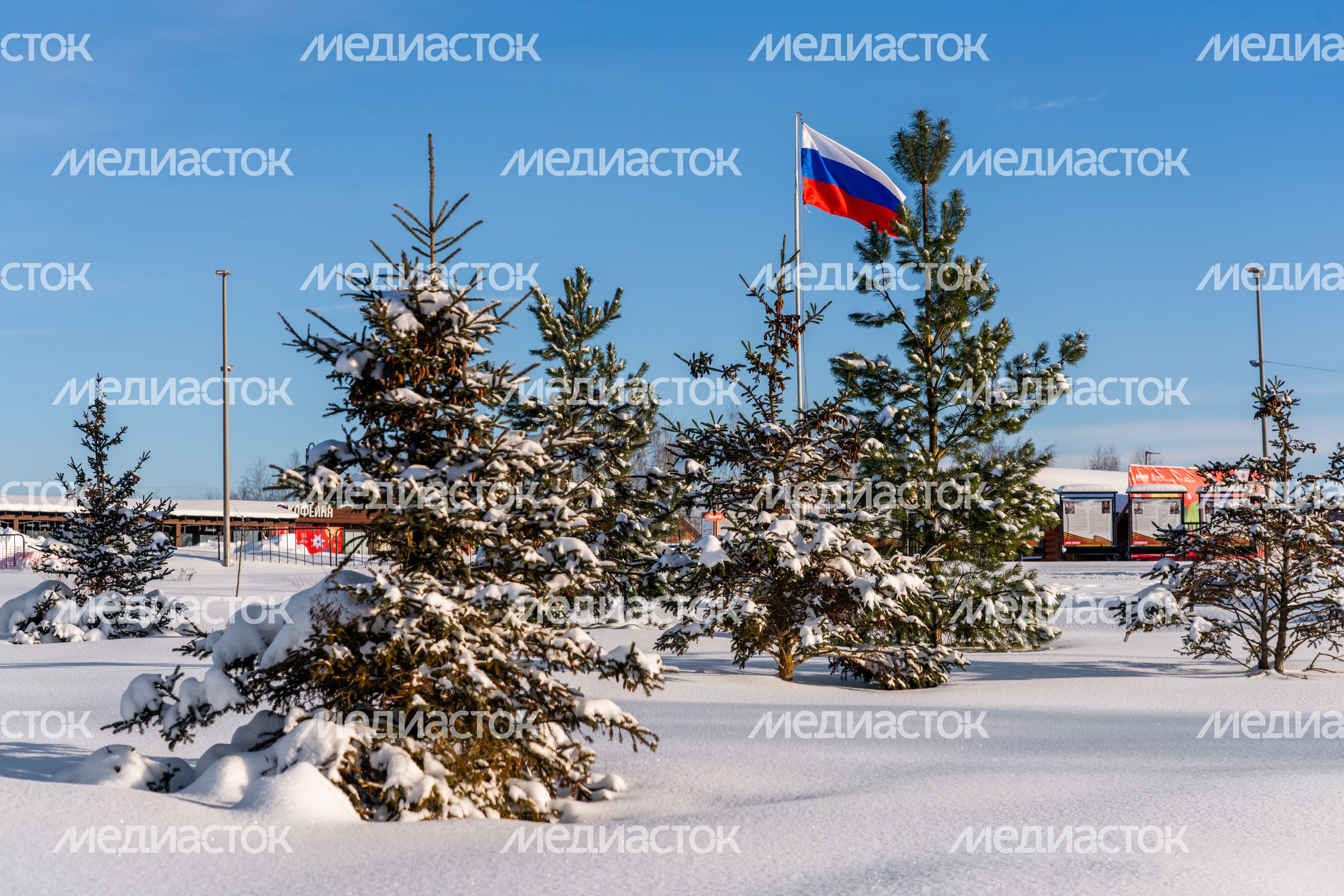 Парк культуры, отдыха и спорта «Ривьера» в Можайске Парк культуры, отдыха и спорта «Ривьера» в Можайске