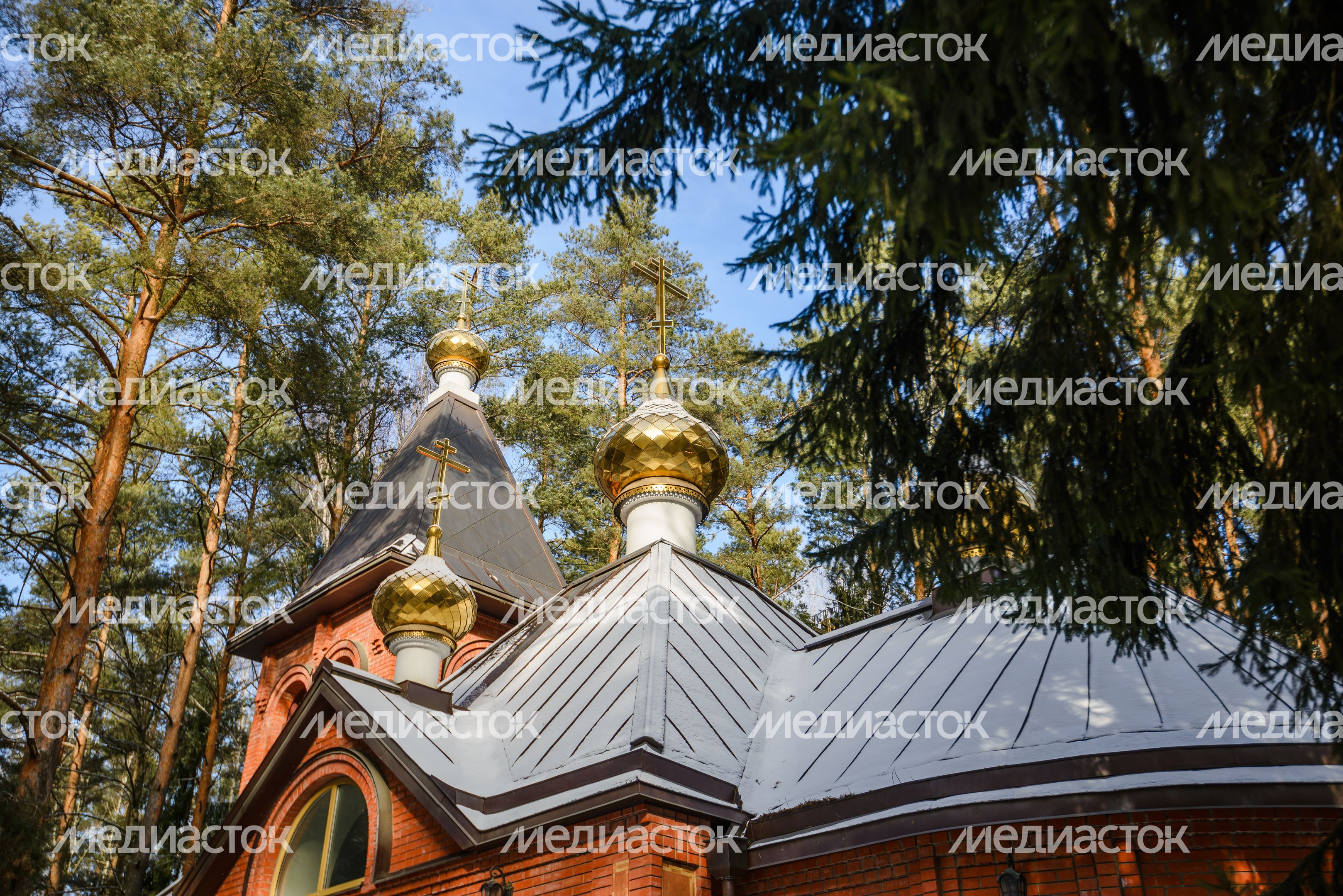 Храм святых благоверных князя Петра и княгини Февронии Муромских в парке культуры и отдыха «Елочки» в Домодедово Храм святых благоверных князя Петра и княгини Февронии Муромских в парке культуры и отдыха «Елочки» в Домодедово