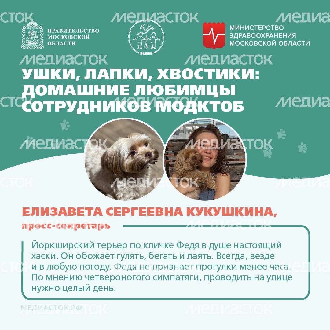 Ушки, лапки, хвостики квадрат 03 Ушки, лапки, хвостики квадрат 03