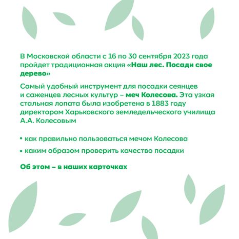 Квадрат_ меч Колесова_02-100.jpg