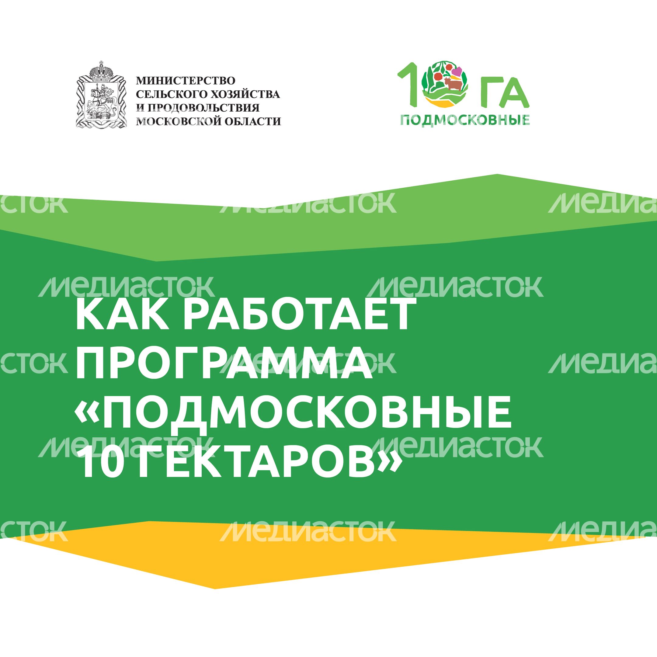 _Подмосковье 10г_-13.jpg