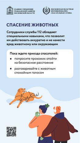 помощь усатым - вертикаль - 02