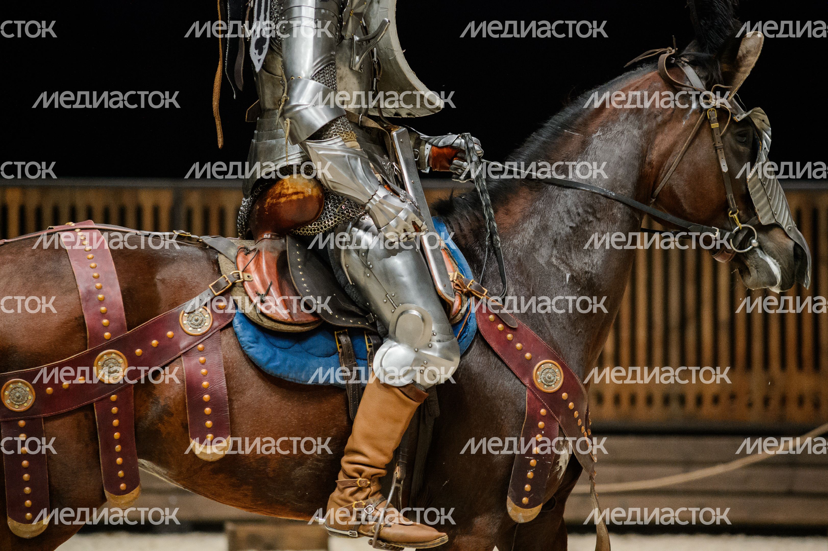 Одинцово. Рыцарский турнир Одинцово. Рыцарский турнир