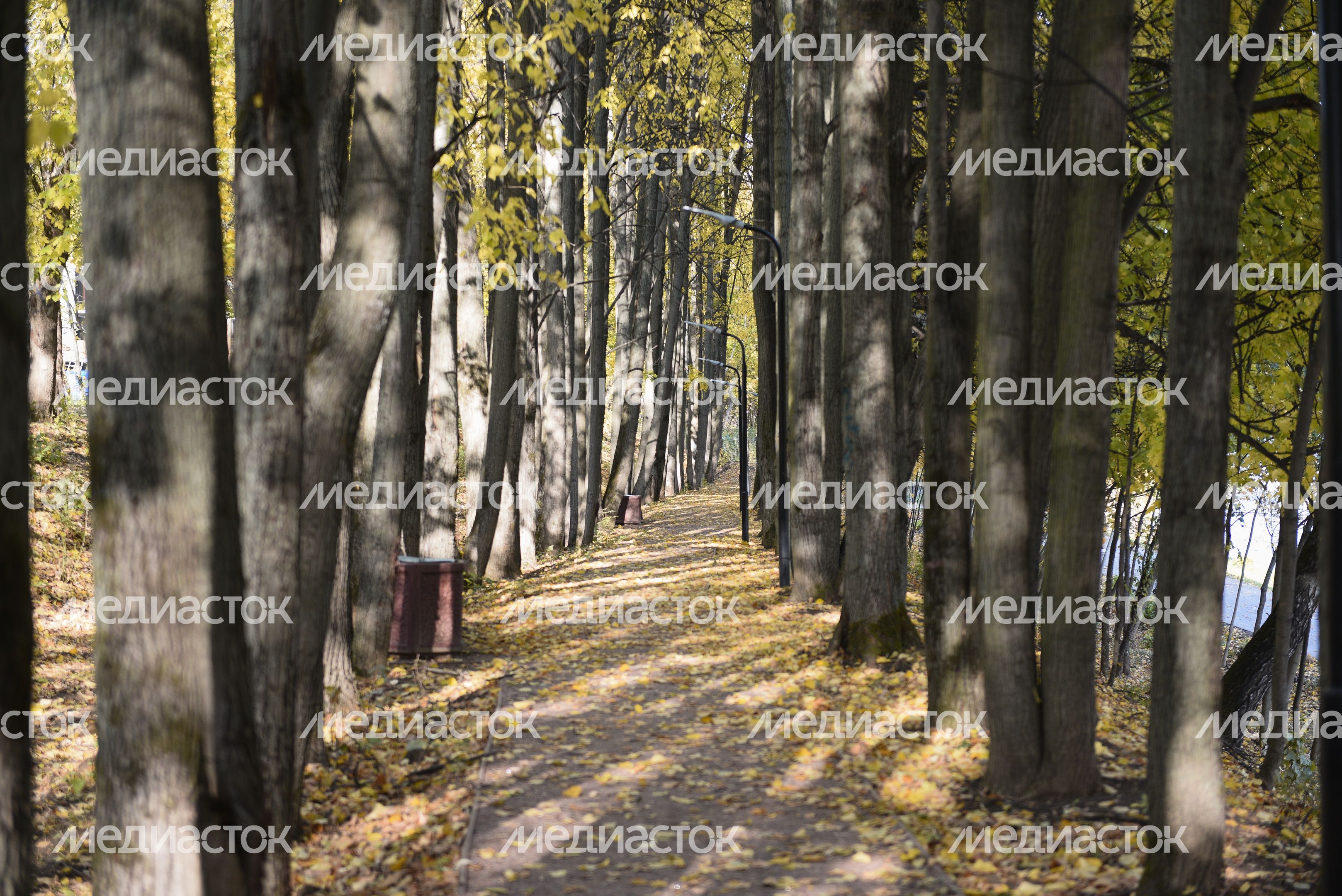 Золотая осень в Химках