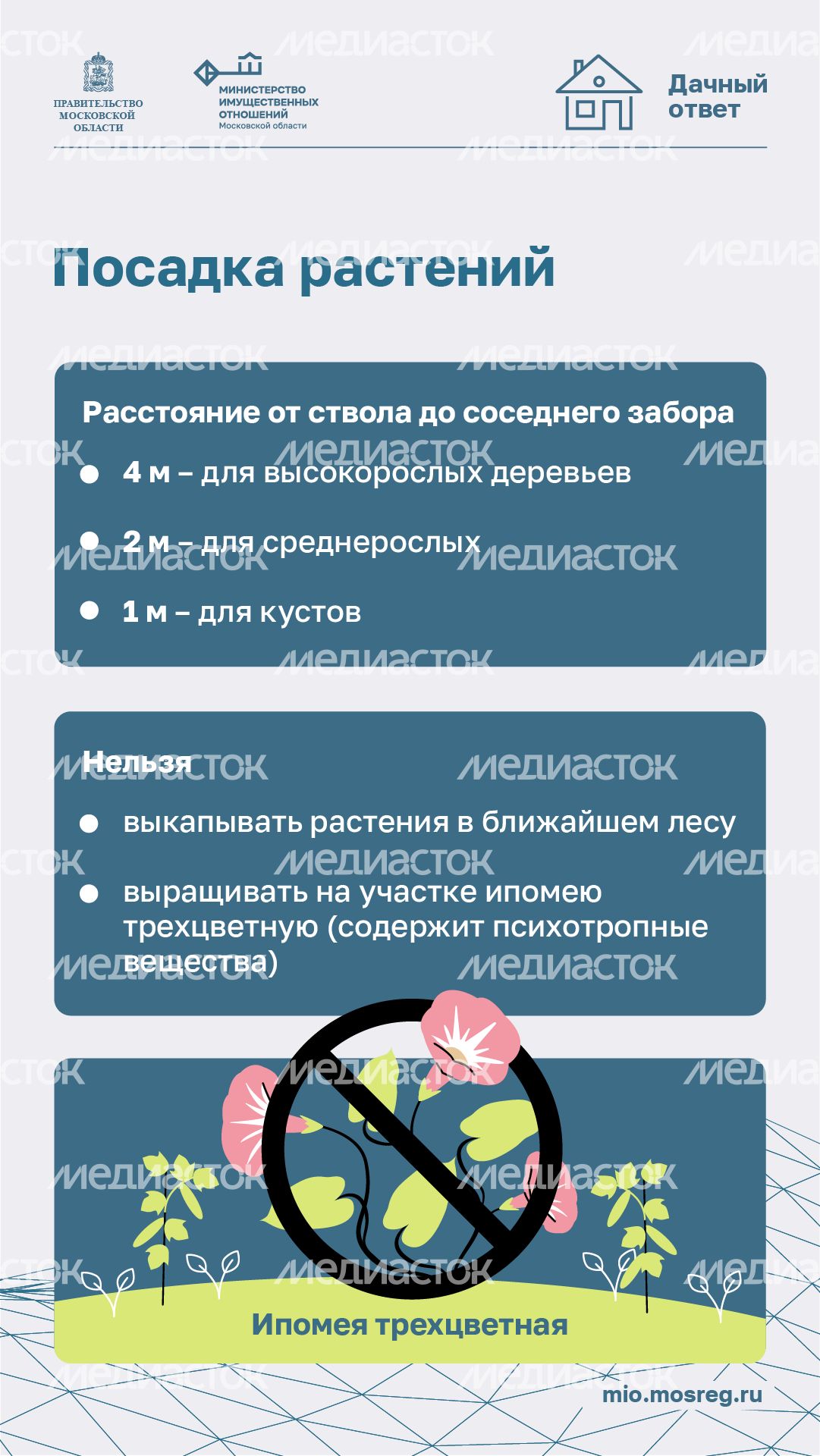 Дачный сезон штрафы-вертикаль-06