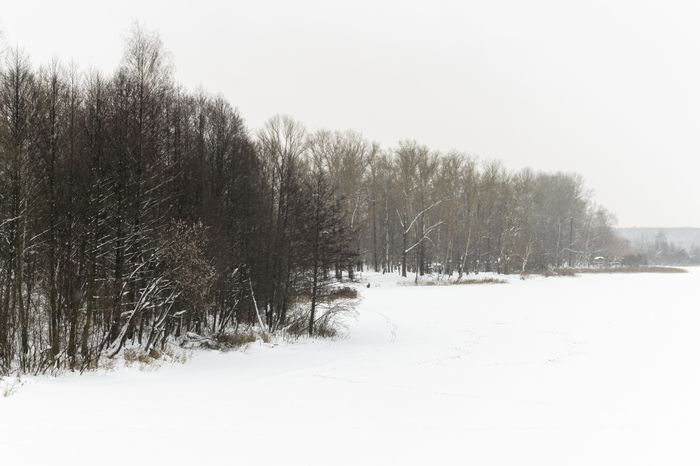 Балашиха. Парк «Заречная». Зима
