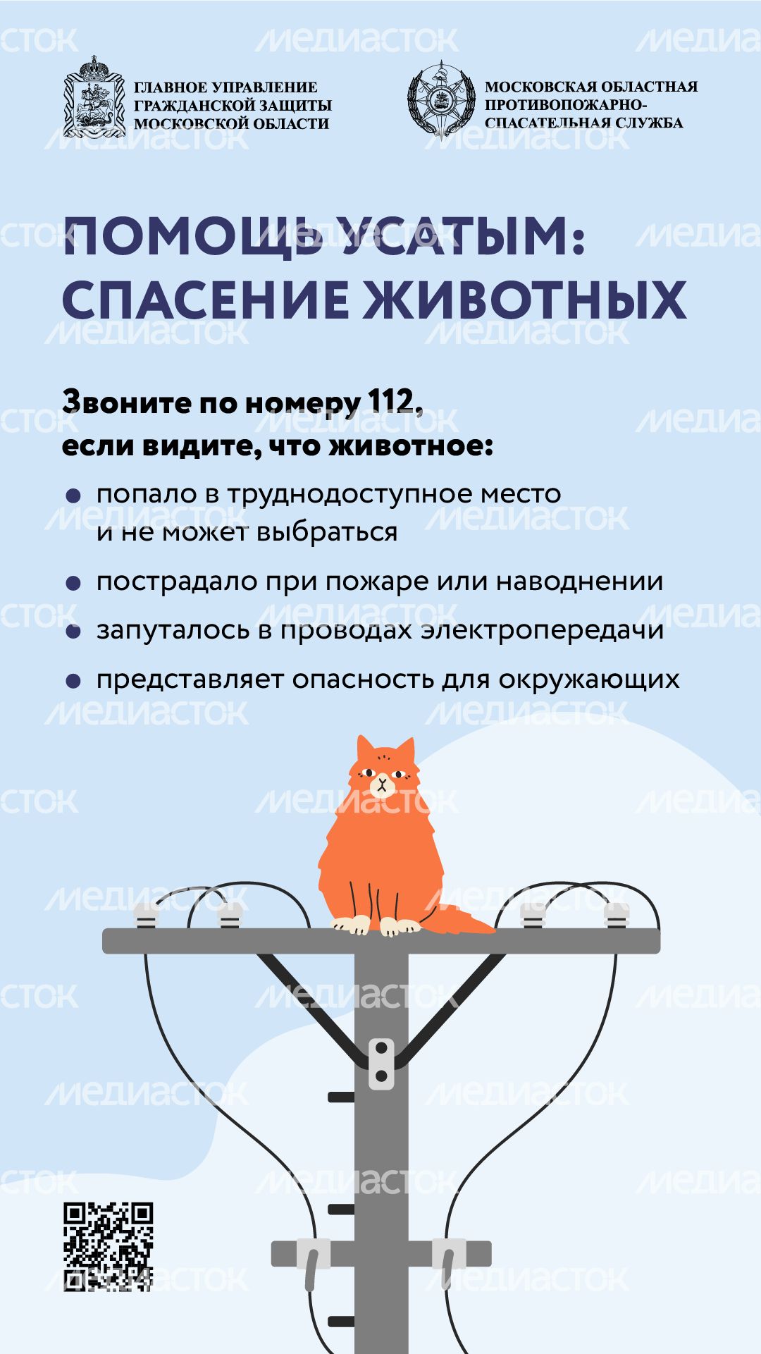 помощь усатым - вертикаль - 01