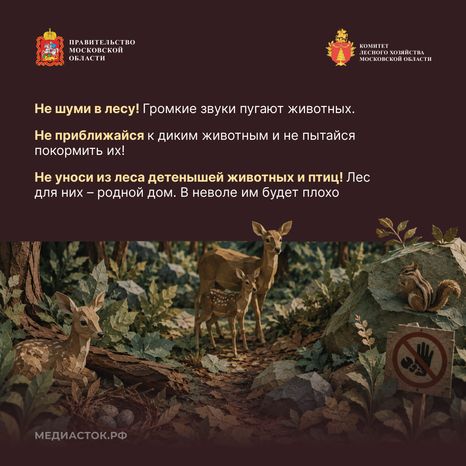 Пребывание граждан в лесах квадрат 06