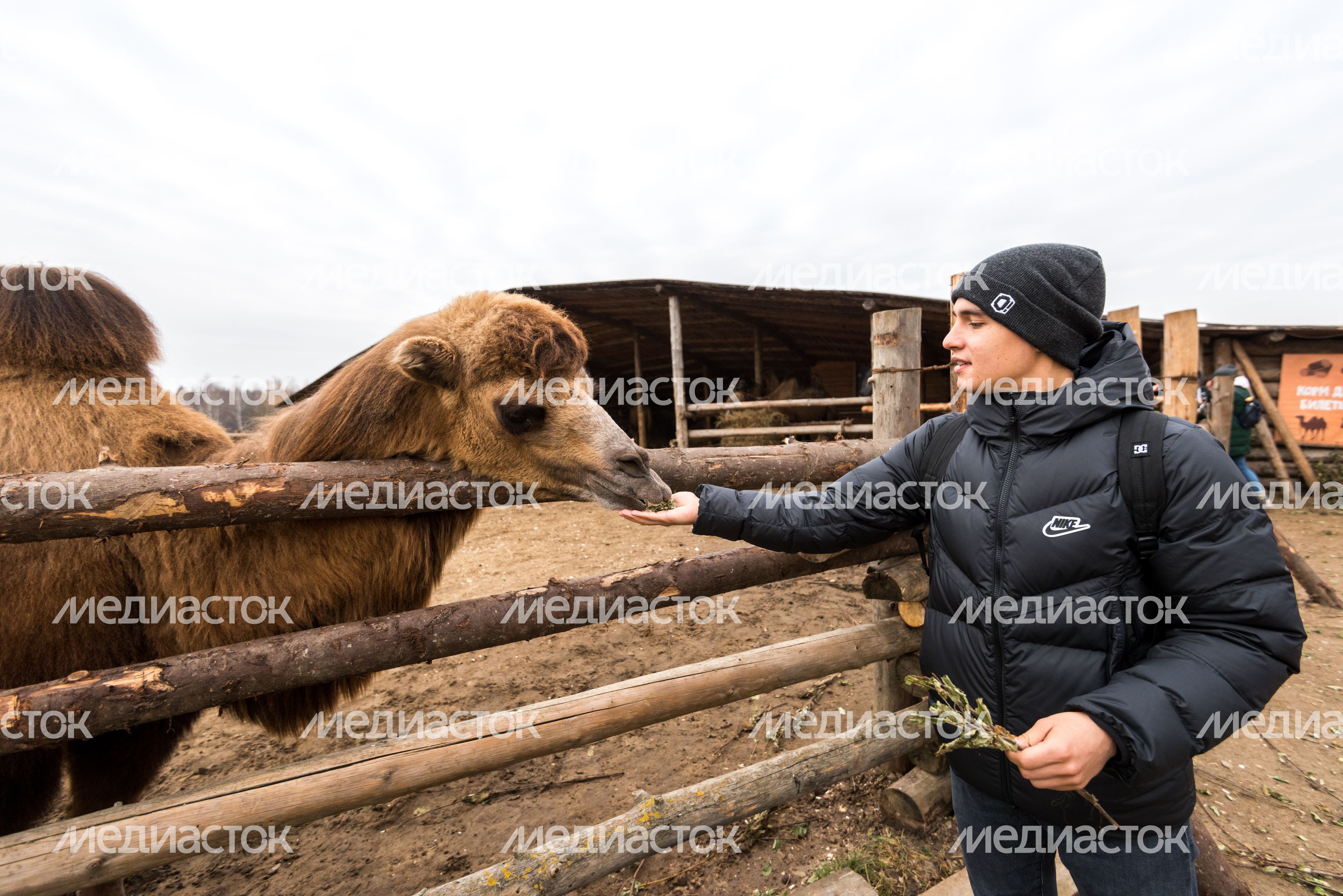 Этнопарк «Кочевник»