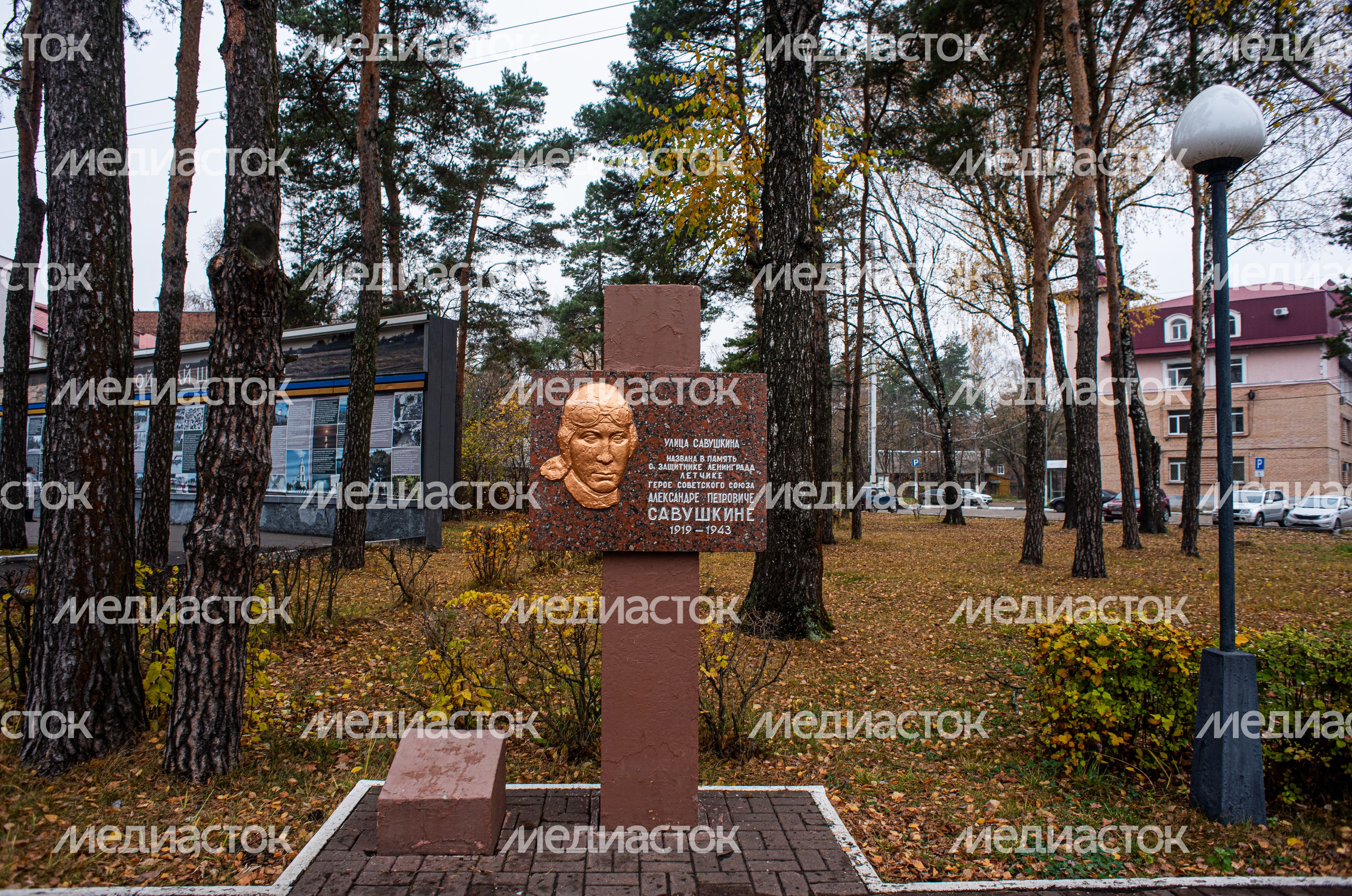 Осенние виды города Шатура