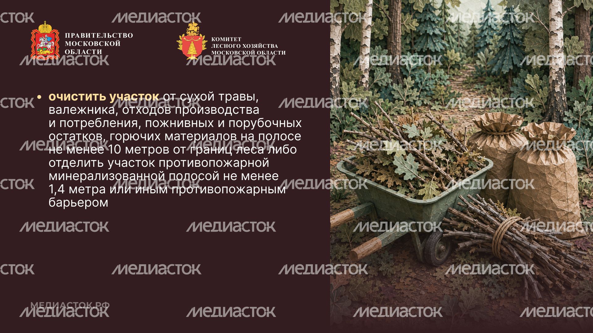 Живете рядом с лесом горизонталь 04