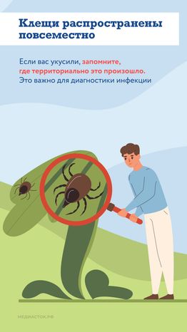 Как защититься от клещей вертикаль 04