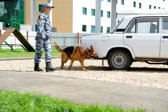 Центр кинологической службы в Москве
