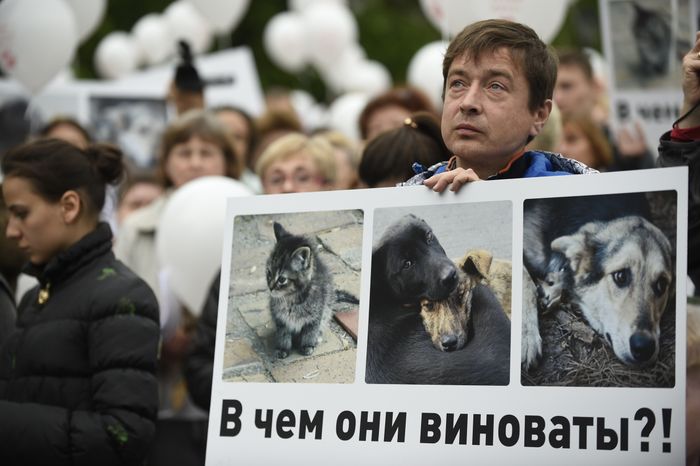 Митинг в защиту животных из приютов в Москве