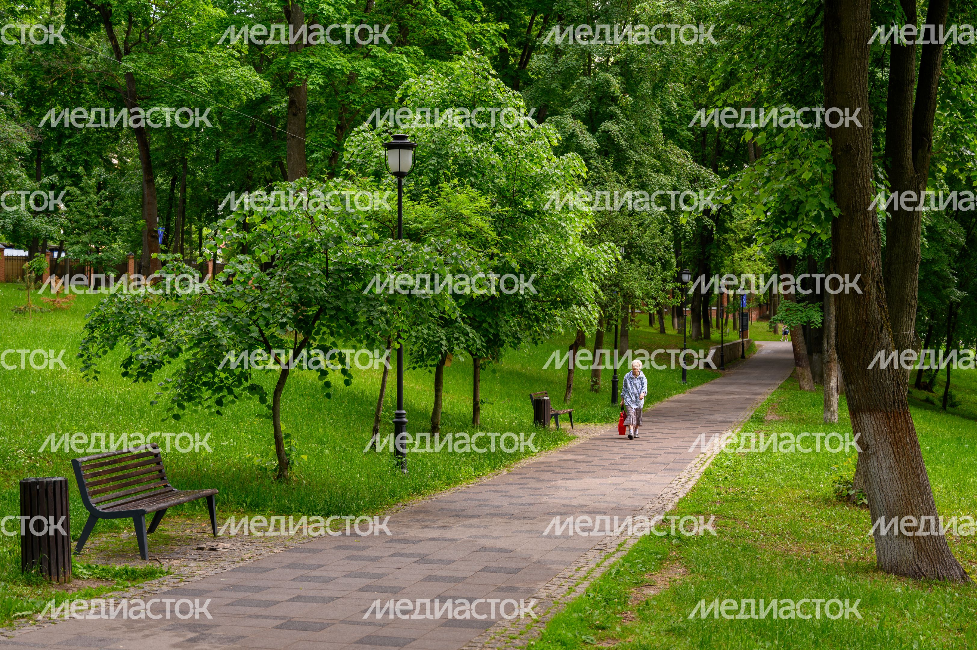 Раменский городской парк культуры и отдыха летом Раменский городской парк культуры и отдыха летом