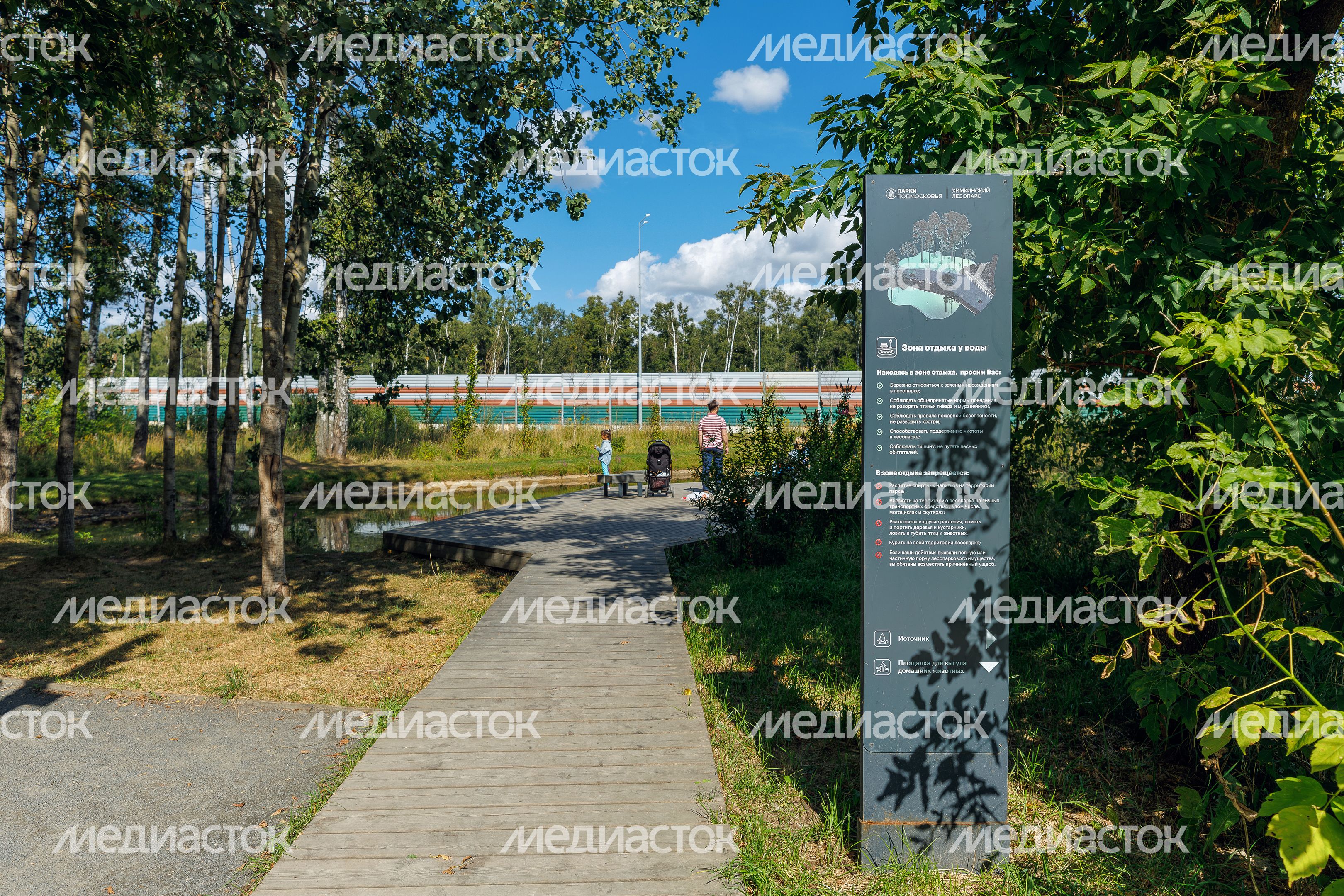 Химкинский лесопарк летом Химкинский лесопарк летом