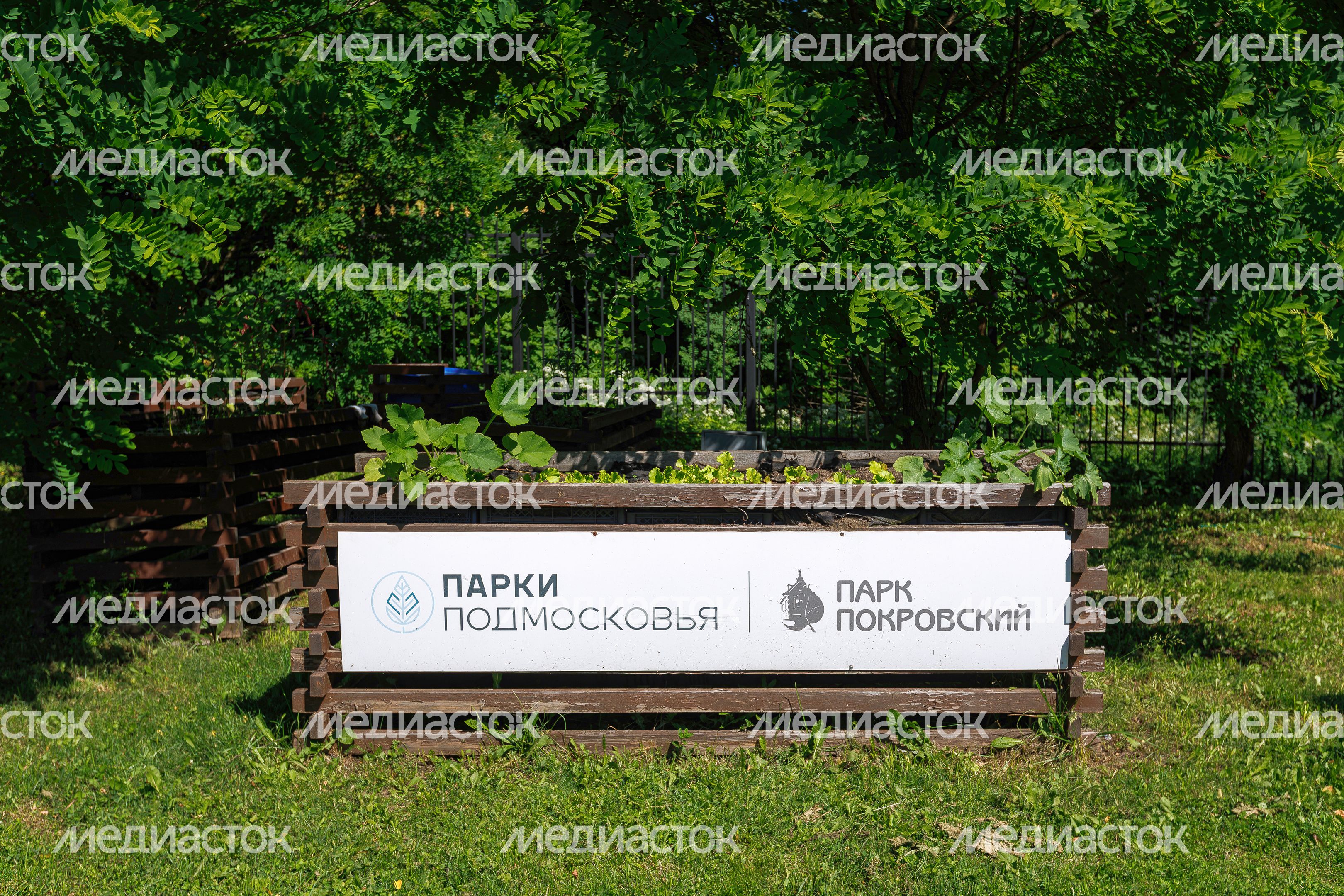 Историко-культурный и ландшафтный парк «Покровский» летом в Хотьково Сергиево-Посадского округа
