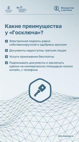 вертикали приложение госключ 02.png