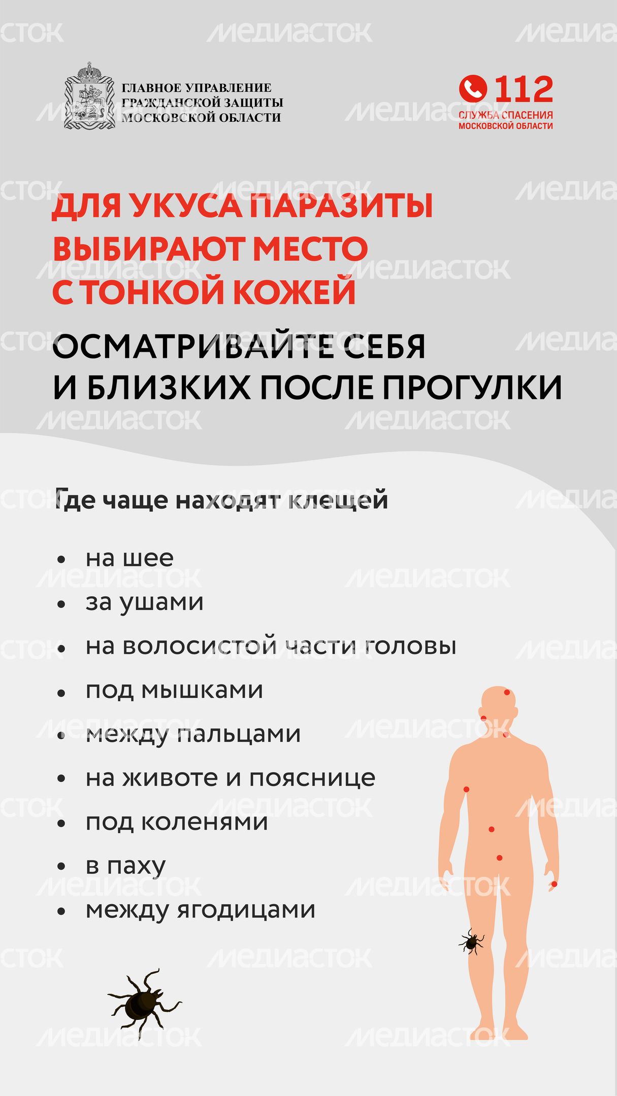 клещи_вертикаль_06
