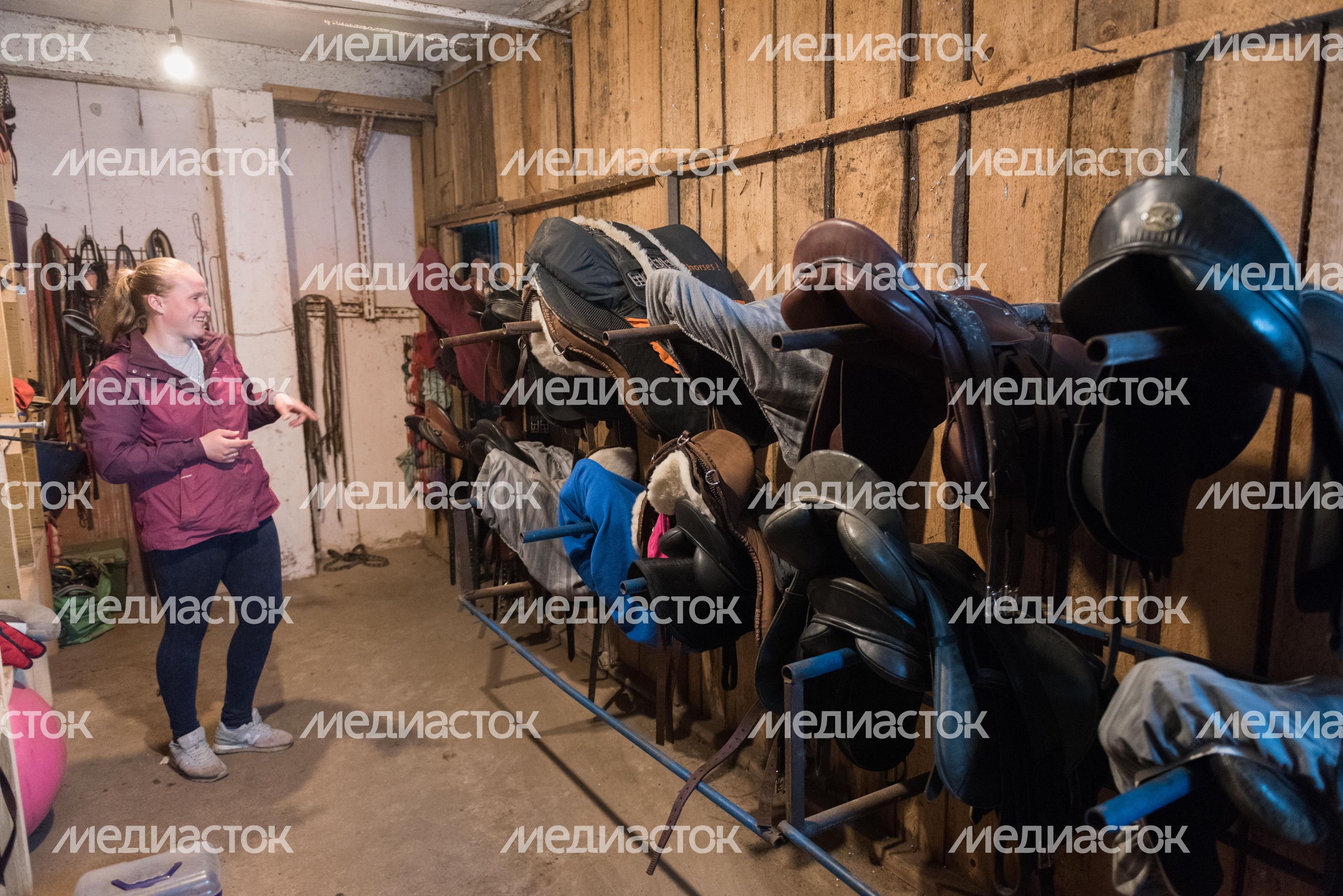 Конюшня-приют «Шанс на жизнь» в Клинском районе Подмосковья
