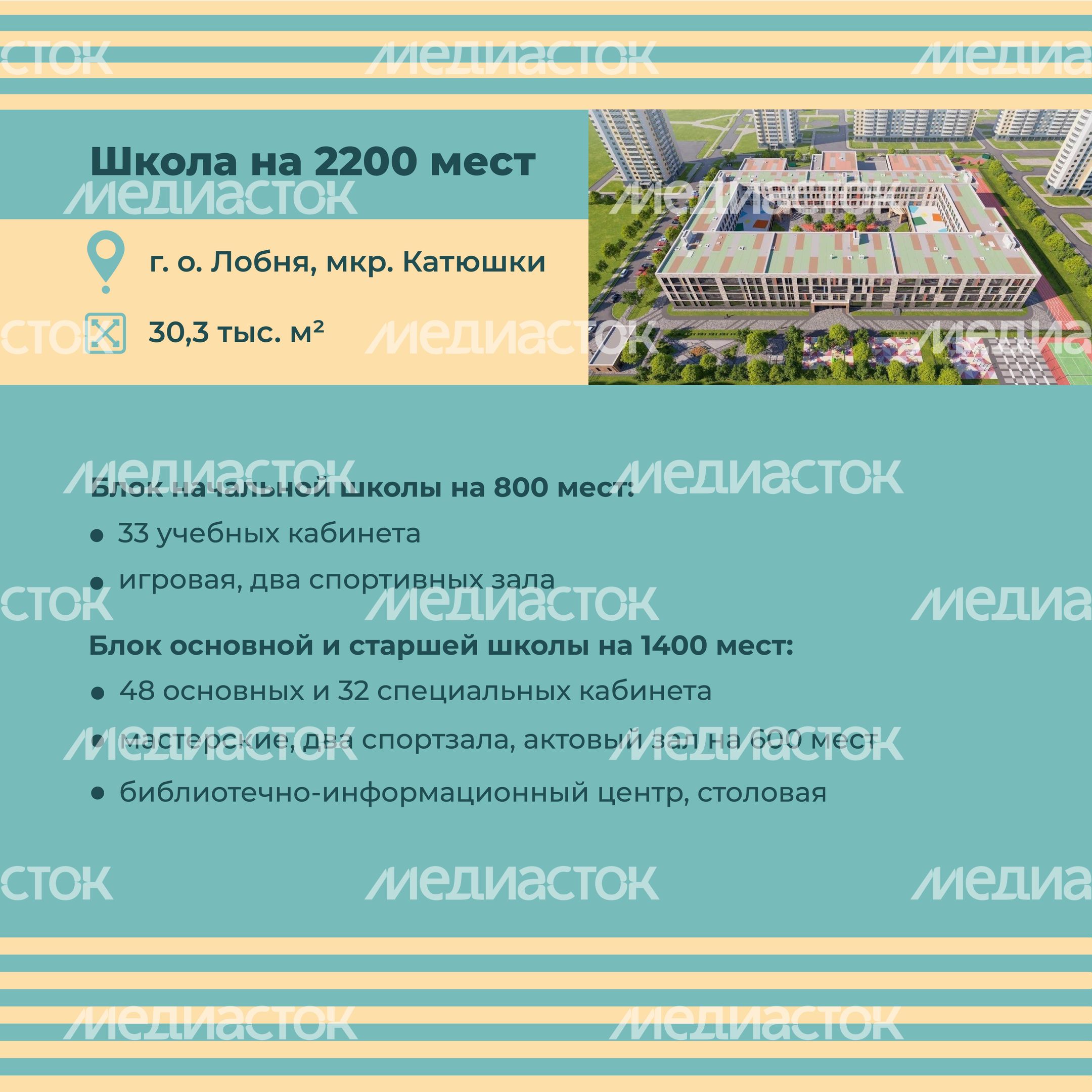 школы 2024, квадрат-03.jpg