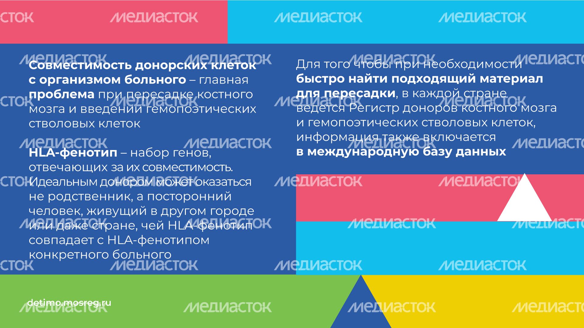 как_стать_донором_костного_мозга__горизонталь_05.jpg
