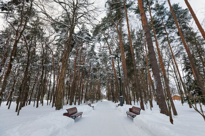 Зимние виды города Дубна