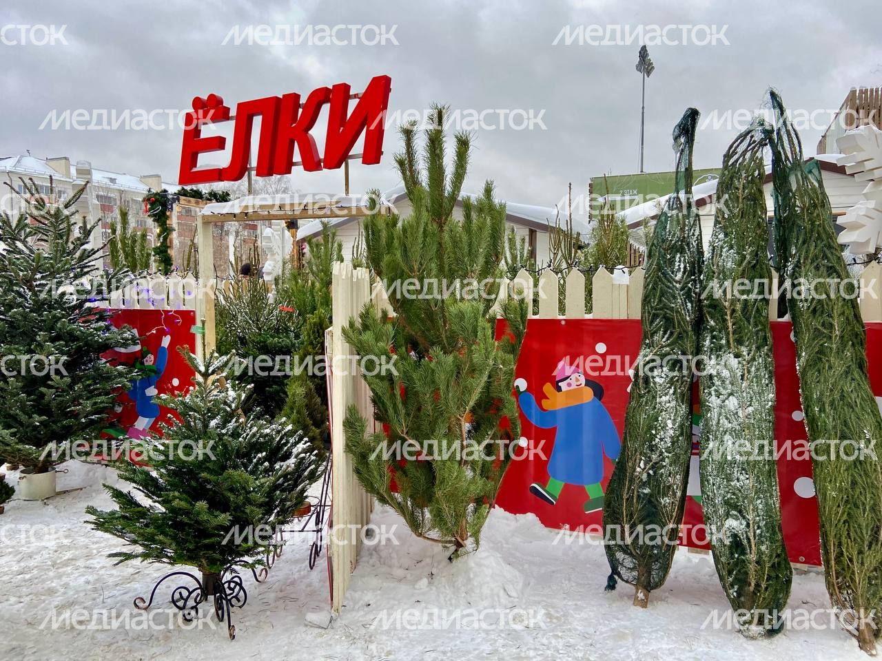 IMAGE 2023-12-15 14:55:08