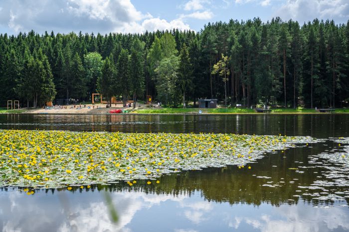 Лесопарк «Загорское море» открыли летом в Сергиевом Посаде