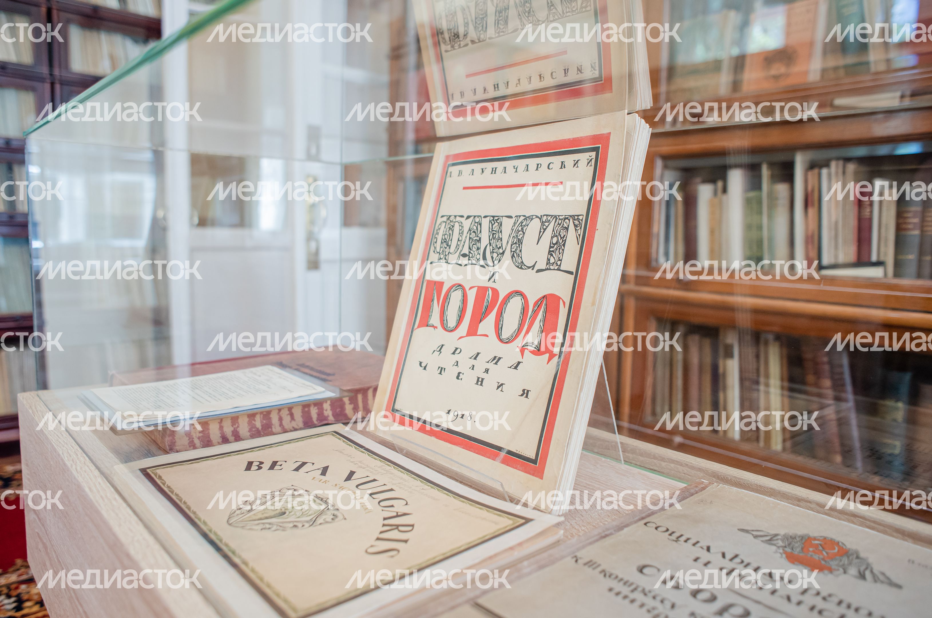 Государственный исторический музей-заповедник «Горки Ленинские»