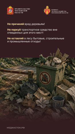 Пребывание граждан в лесах Вертикаль 09